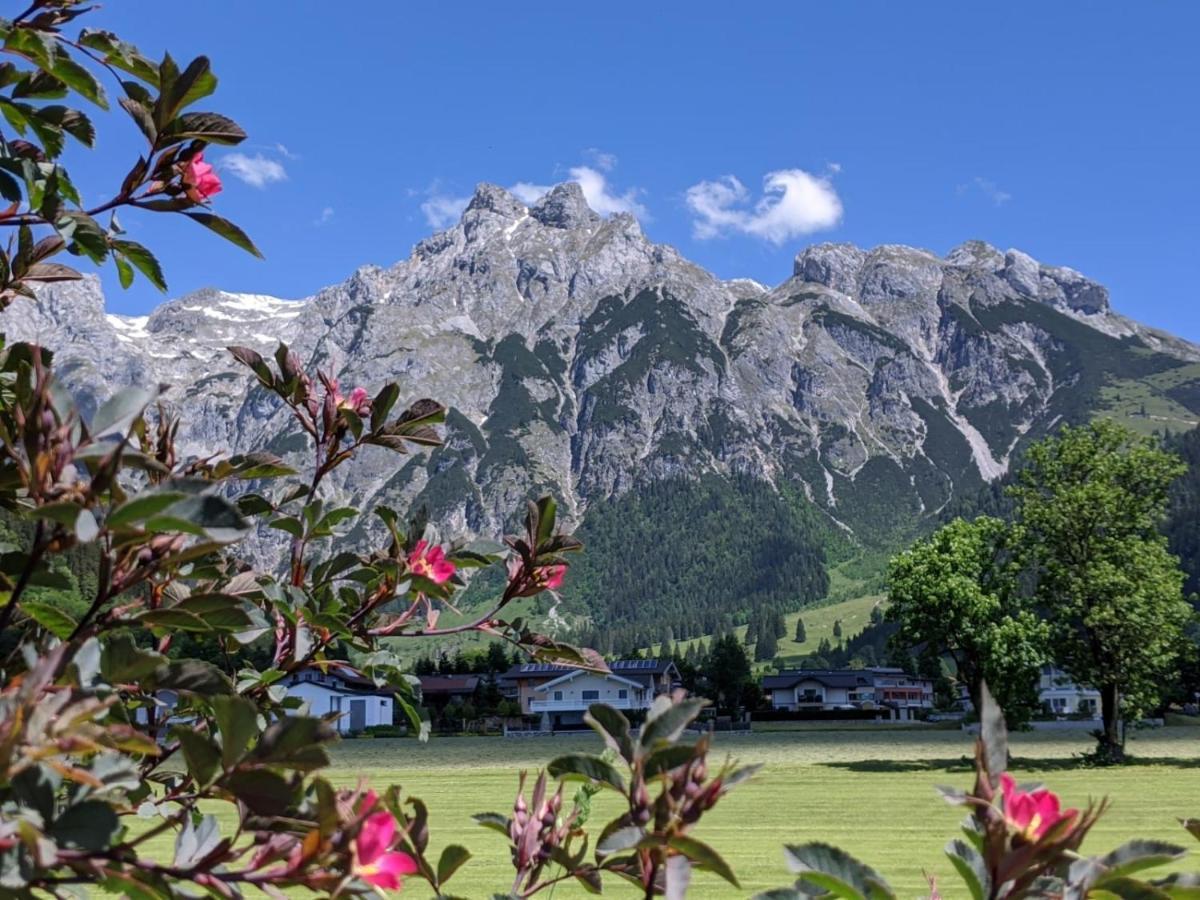 Bio Bauernhof Vorderoberlehen Hotell Werfenweng Exteriör bild