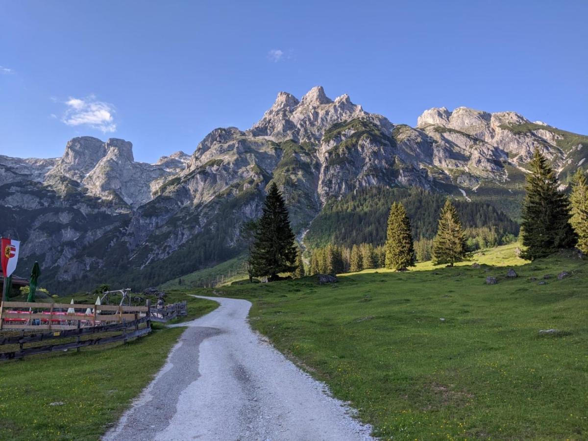 Bio Bauernhof Vorderoberlehen Hotell Werfenweng Exteriör bild