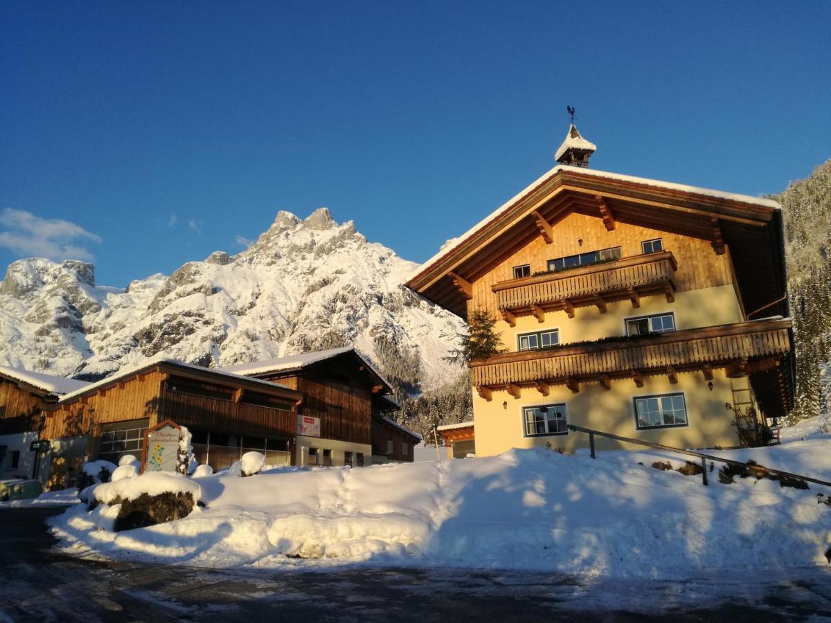 Bio Bauernhof Vorderoberlehen Hotell Werfenweng Exteriör bild