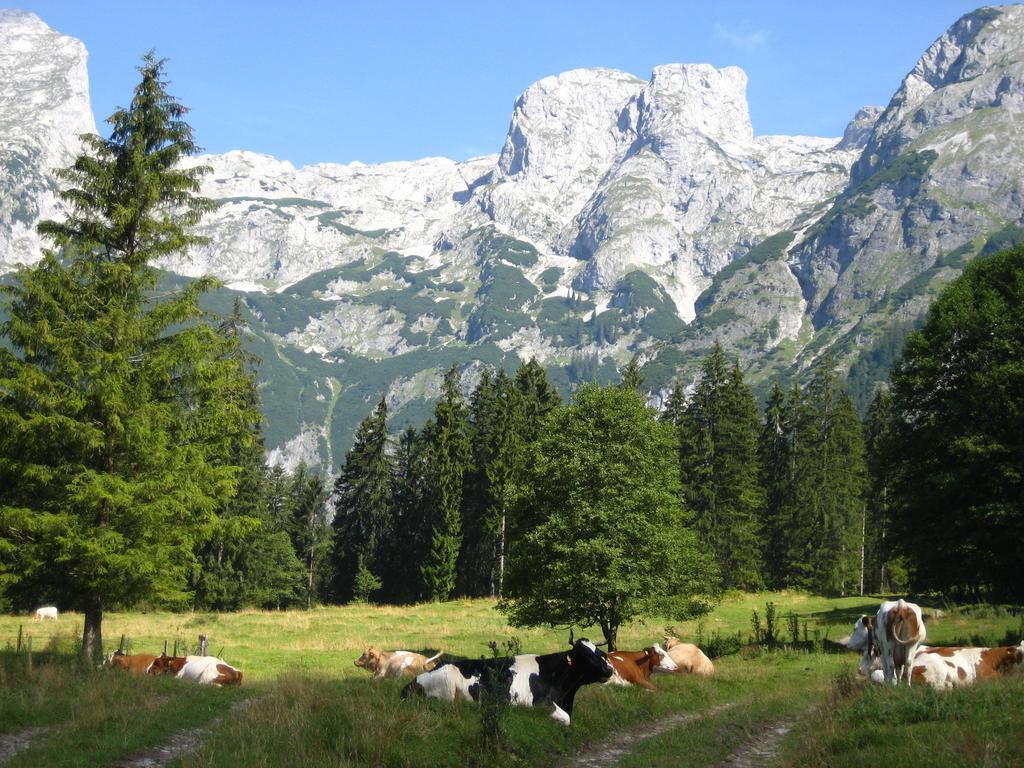 Bio Bauernhof Vorderoberlehen Hotell Werfenweng Exteriör bild