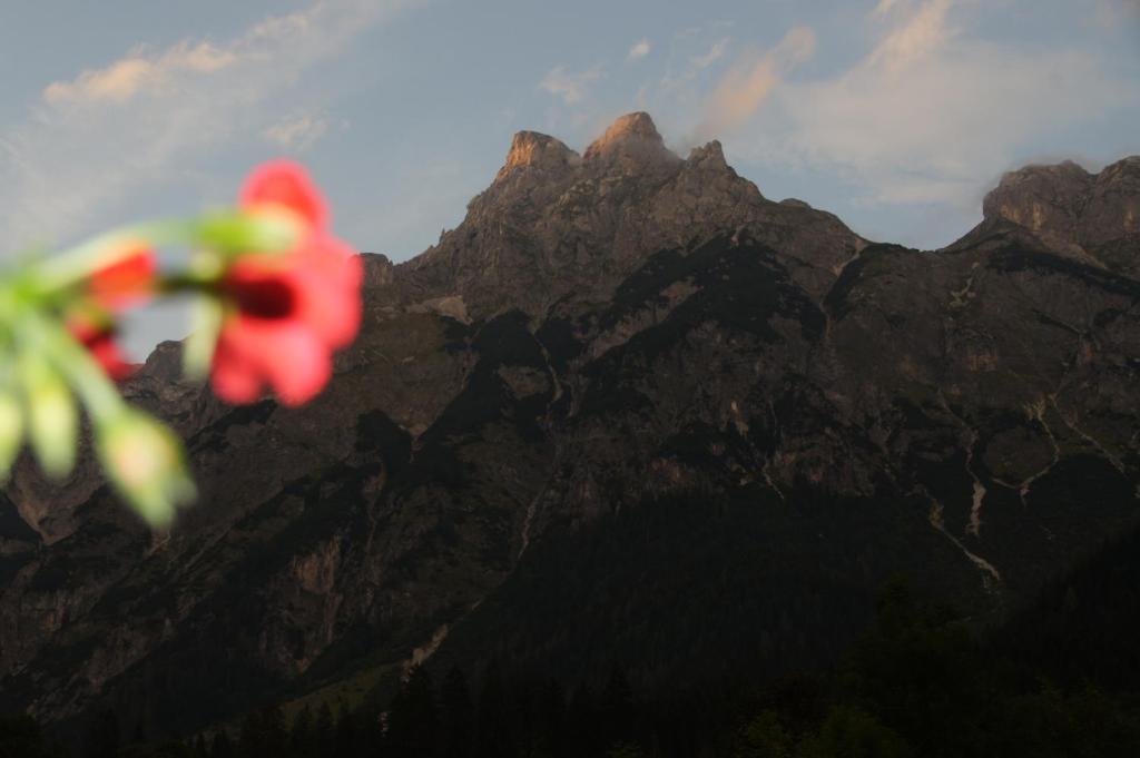 Bio Bauernhof Vorderoberlehen Hotell Werfenweng Exteriör bild