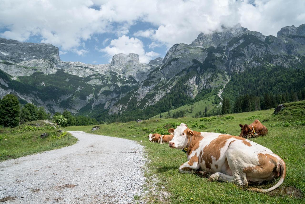Bio Bauernhof Vorderoberlehen Hotell Werfenweng Exteriör bild